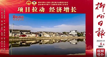 【两会视频访谈】何韬：项目拉动，经济增长