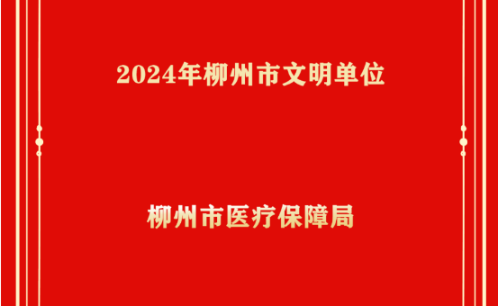 回望2024 | 一起来见证柳州医保的荣耀时刻